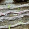Pink #12 - Fancy Yarns - Image 3